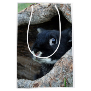 Black Rabbit in Hollow of a Tree Medium Gift Bag