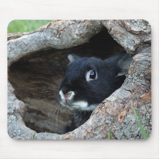 Black Rabbit in Hollow of a Tree Mouse Pad (Front)