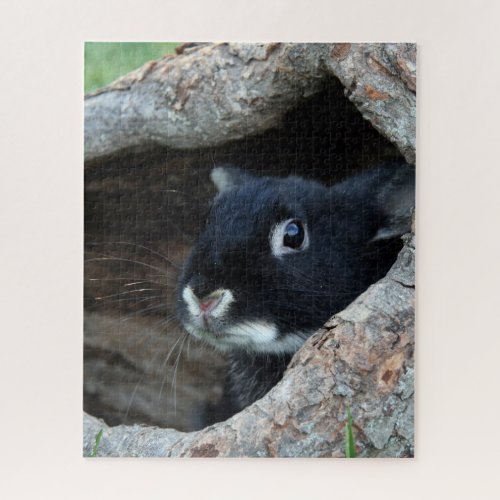 Black Rabbit in Hollow of a Tree Photo Jigsaw Puzzle