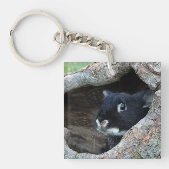 Black Rabbit in Hollow of a Tree Photo Keychain (Front)