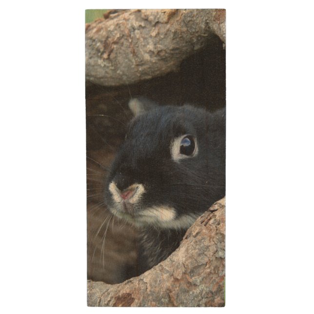 Black Rabbit in Hollow of a Tree Wood Flash Drive (Front Vertical)