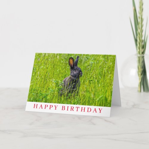 Black rabbit in the grass birthday card