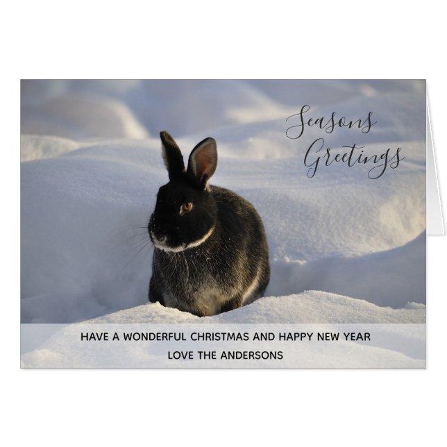 Black Rabbit Winter Snow Xmas Photo Personalized Cards (Front Horizontal)