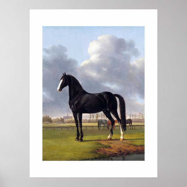 Black Race Horse circa 1828 Poster (Front)