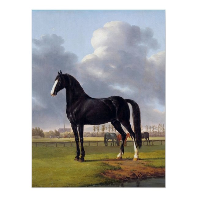 Black Race Horse circa 1828 Poster (Front)