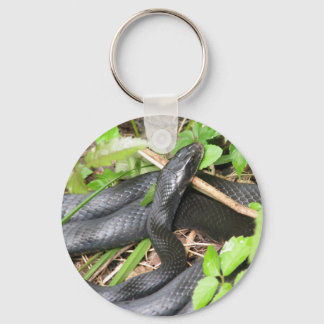 Black Racer Snake Sunning Keychain