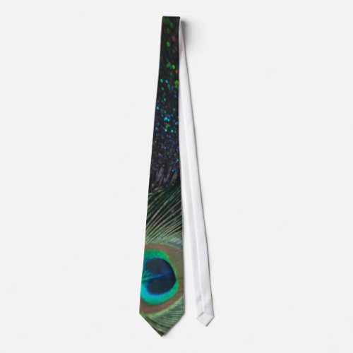 Black Rainbow Peacock Tie