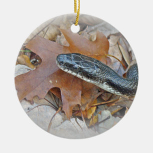 Black Rat Snake - Elaphe obsoleta obsoleta Ceramic Ornament