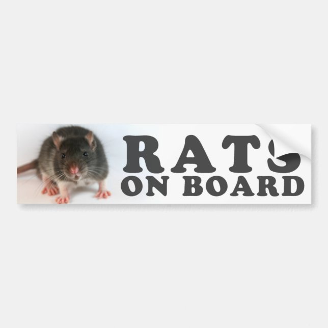 (Black) Rats on board Bumper Sticker (Front)