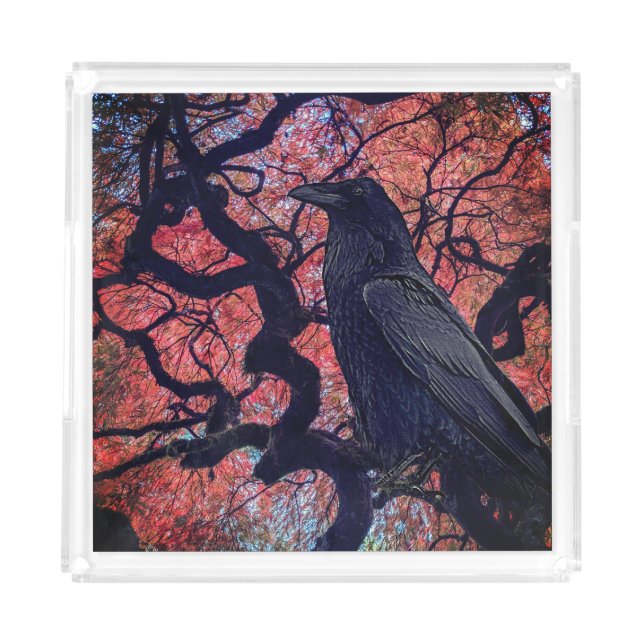 Black Raven and Gnarly Japanese Maple Acrylic Tray (Front)