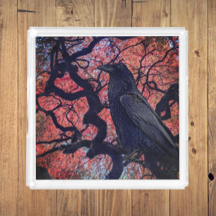 Black Raven and Gnarly Japanese Maple Acrylic Tray