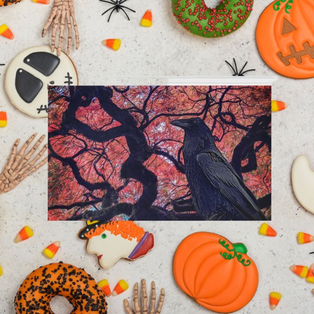 Black Raven and Gnarly Japanese Maple Acrylic Tray (In Situ)