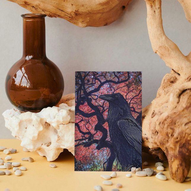 Black Raven and Gnarly Japanese Maple Card (Creator Uploaded)