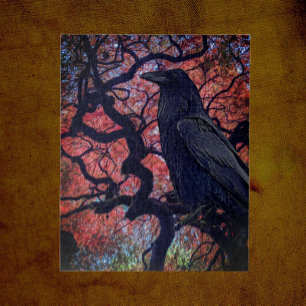 Black Raven and Gnarly Japanese Maple Jigsaw Puzzle