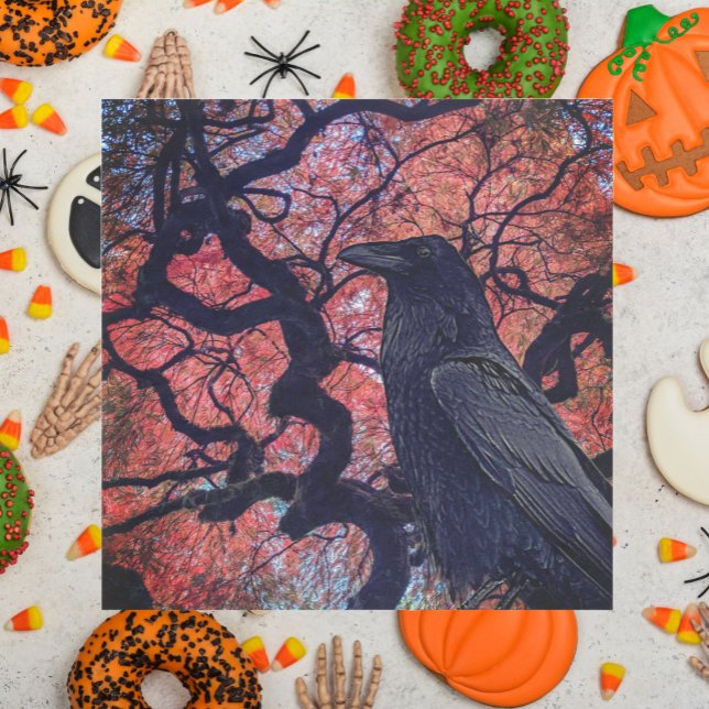 Black Raven and Gnarly Japanese Maple Napkins (In Situ Halloween)