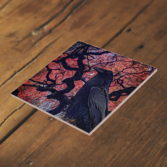 Black Raven and Gnarly Japanese Maple Tree Ceramic Tile (In Situ)
