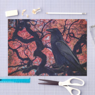 Black Raven and Gnarly Japanese Maple Tree Medium Tissue Paper