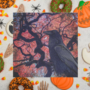Black Raven and Gnarly Japanese Maple Tree Napkins