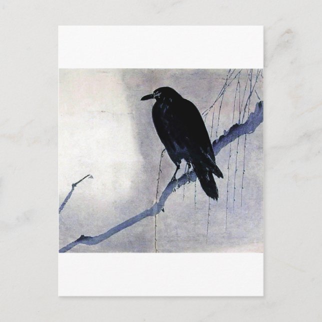 Black Raven Bird Postcard (Front)