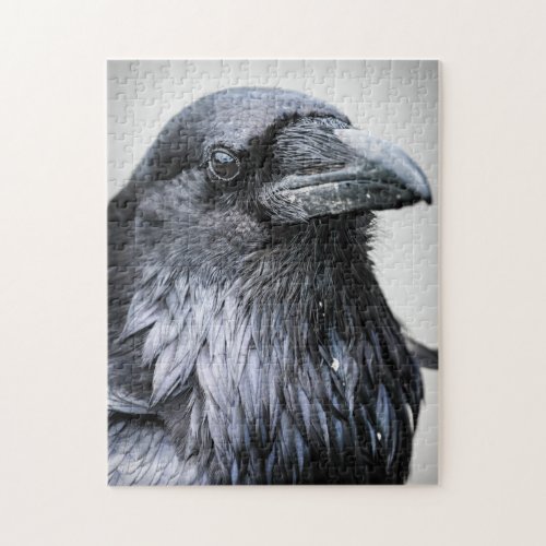 Black Raven Crow Bird Jigsaw Puzzle