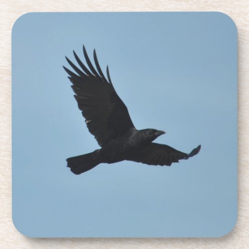 Black Raven Flying in Blue Sky Photo Drink Coaster