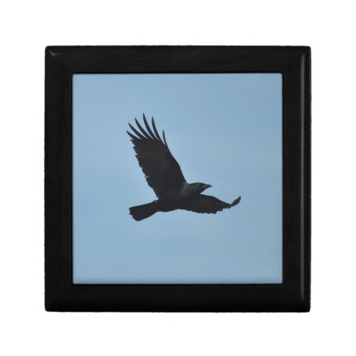 Black Raven Flying in Blue Sky Photo Jewelry Box