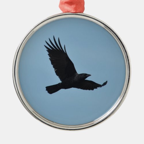 Black Raven Flying in Blue Sky Photo Metal Ornament