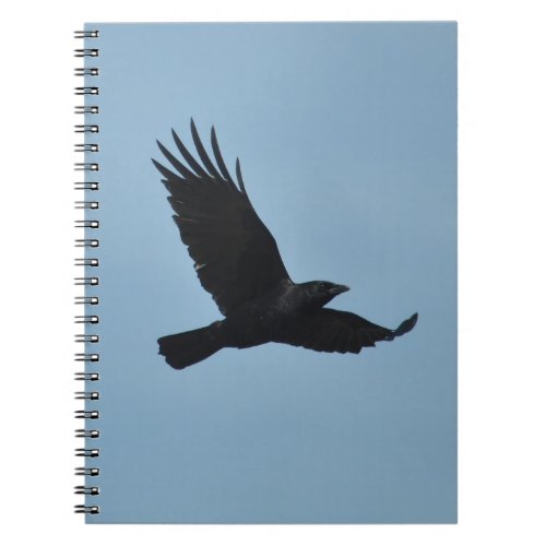 Black Raven Flying in Blue Sky Photo Notebook