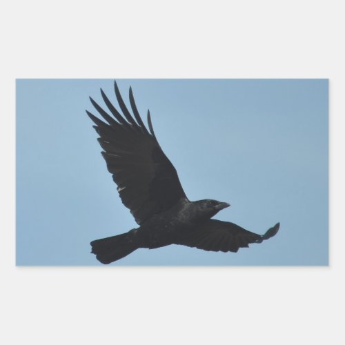 Black Raven Flying in Blue Sky Photo Rectangular Sticker