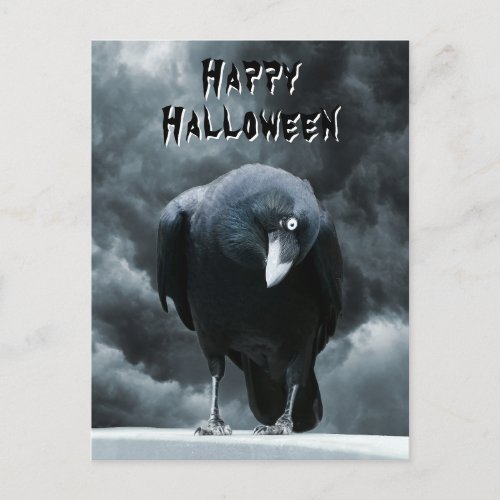Black Raven Halloween Postcard
