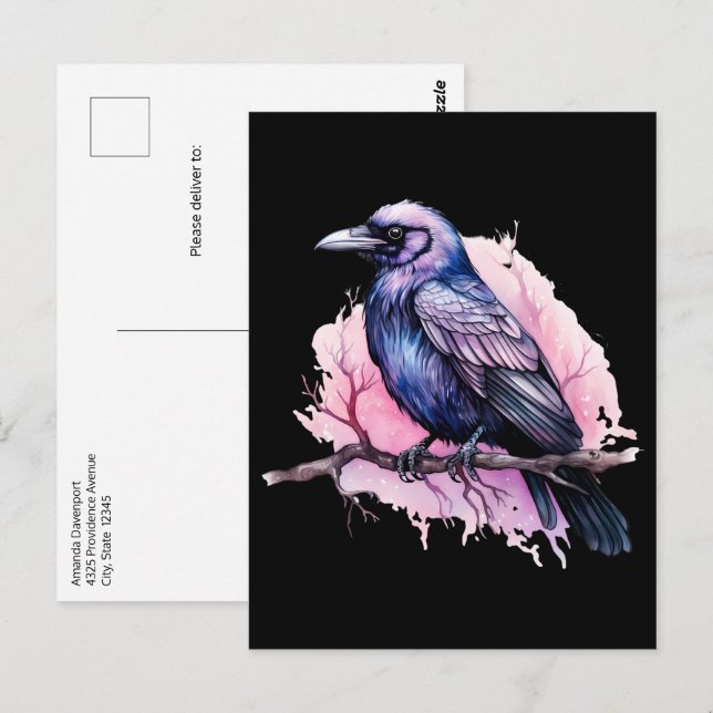 Black Raven on a Branch Illustration Postcard (Front/Back)