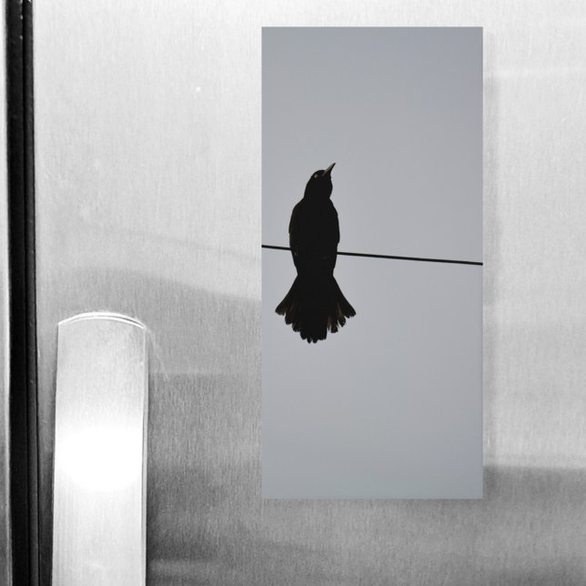 Black Raven on a Wire Gray Magnetic Notepad (Creator Uploaded)