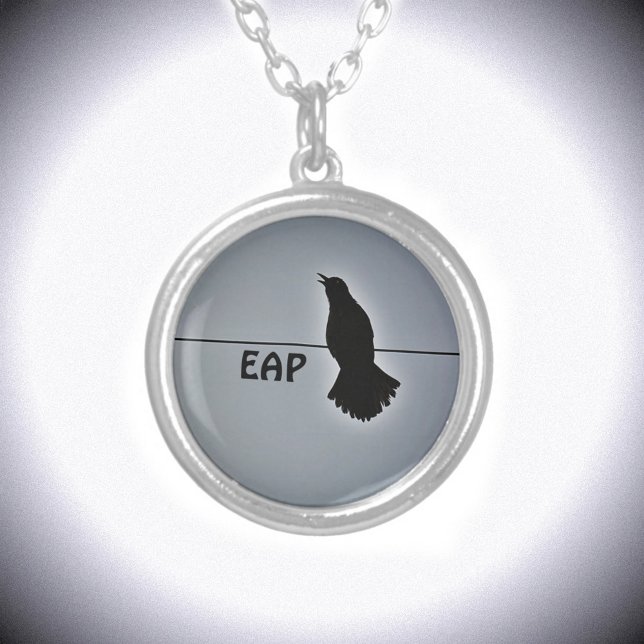 Black Raven on a Wire Silver Plated Necklace (Creator Uploaded)
