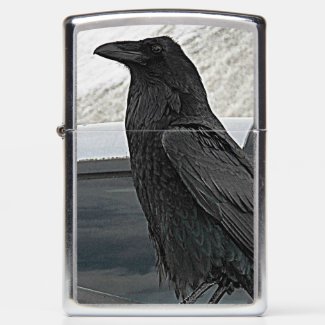 Black Raven Photo Zippo Lighter