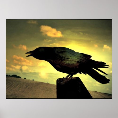 Black Raven Poster