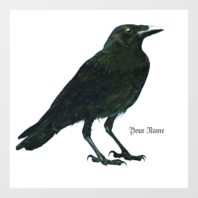 Black Raven  Window Cling (Sheet)