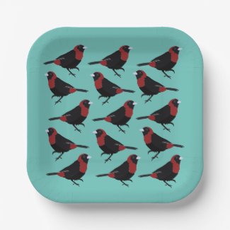 Black Red Crimson-Collared Tanager Bird Songbird 