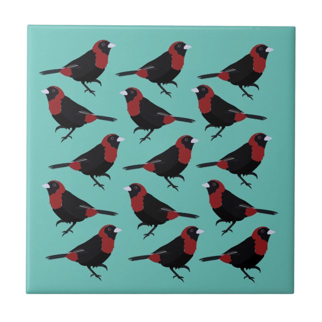 Black Red Crimson-Collared Tanager Songbird  Ceramic Tile (Front)