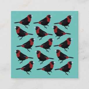 Black Red Crimson-Collared Tanager Songbird Square Business Card