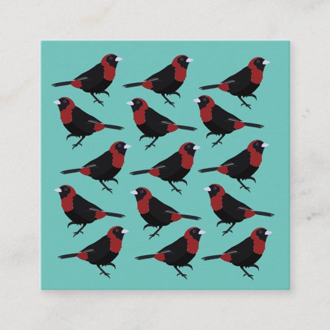 Black Red Crimson-Collared Tanager Songbird Square Business Card (Front)