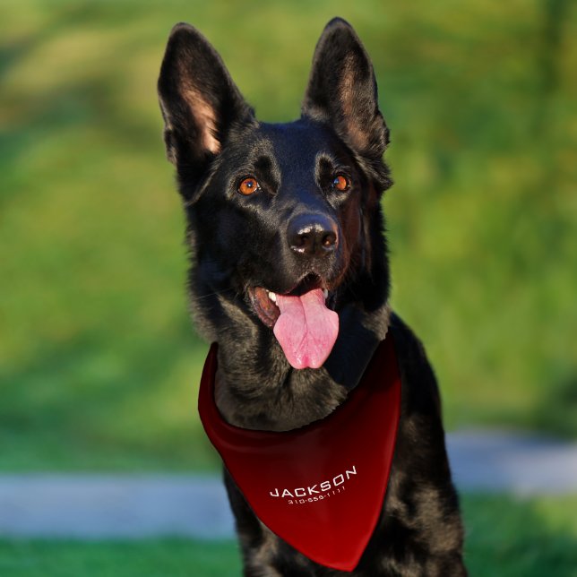 Black Red Ombre Custom Name  Pet Bandana Collar (Dog)
