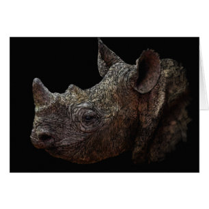 Black Rhino