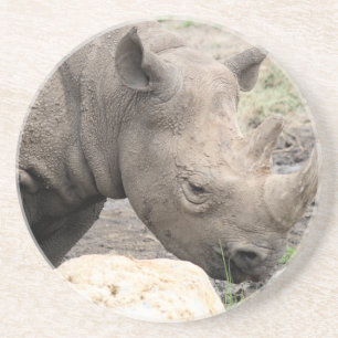 Black rhino  coaster
