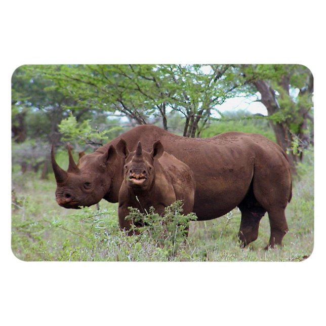 Black Rhino with Calf Magnet (Horizontal)