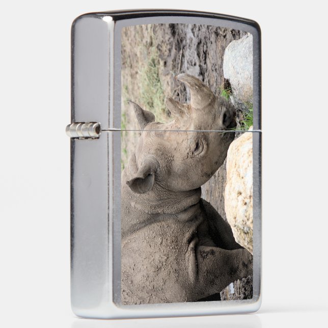 コアラ Black rhino zippo lighter | Zazzle