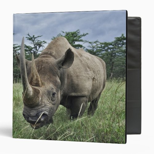 Black Rhinoceros Diceros bicornis Kenya Binder