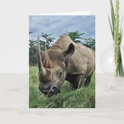 Black Rhinoceros  Kenya Card