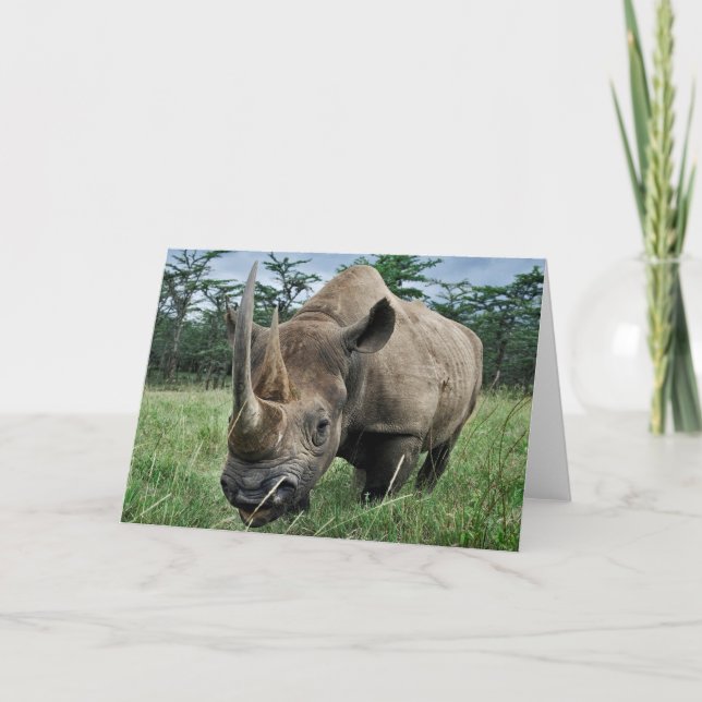 Black Rhinoceros | Kenya Card (Front)