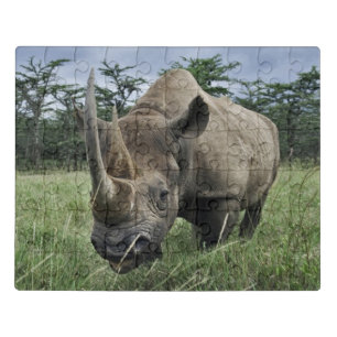 Black Rhinoceros   Kenya Jigsaw Puzzle