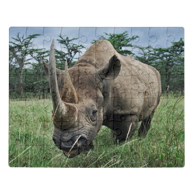 Black Rhinoceros | Kenya Jigsaw Puzzle (Puzzle Horizontal)